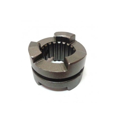 SELETOR DE DENTES
