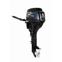 MOTOR PARSUN 6HP 4T - COLUNA NORMAL