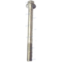PARAFUSO COM ANILHA M9X95