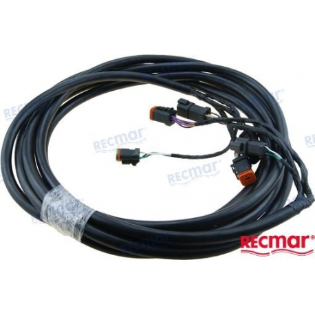 EXTENSÃO DO ARROTE 20Â´
