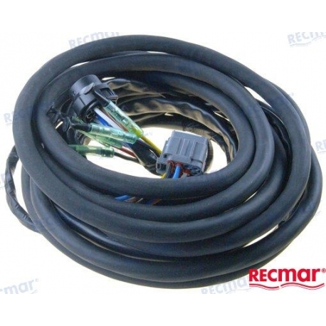 CHICOTE EXT SUZUKI 5 M. SEM PT