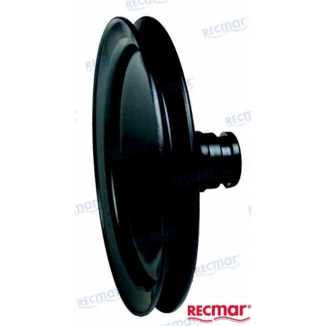 POLIA PARA SERVO BOMBA