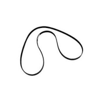 CORREIA DE SERPENTINA MCM