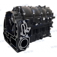BLOQUE MOTOR