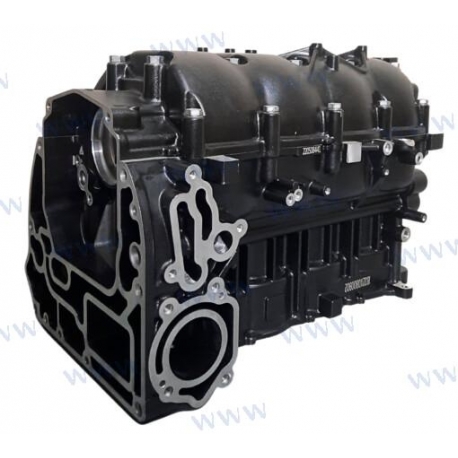 BLOQUE MOTOR