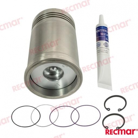 CONJUNTO DE PISTON E LINER