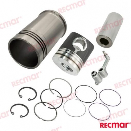 CONJUNTO DE PISTON E LINER