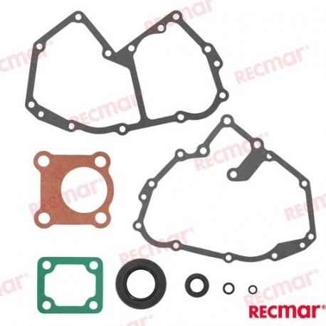 KIT JUNTAS DISTRIBUIÇÃO PARA MOTOR: D1-13 D1-20