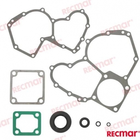 KIT JUNTAS DISTRIBUIÇÃO PARA MOTOR: D2-40
