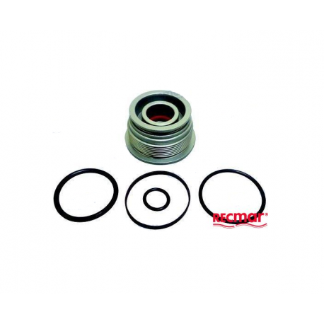 KIT DE REPARAÇÃO DO PISTON DO TRIM