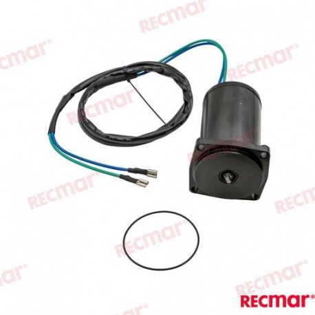 MOTOR TRIM