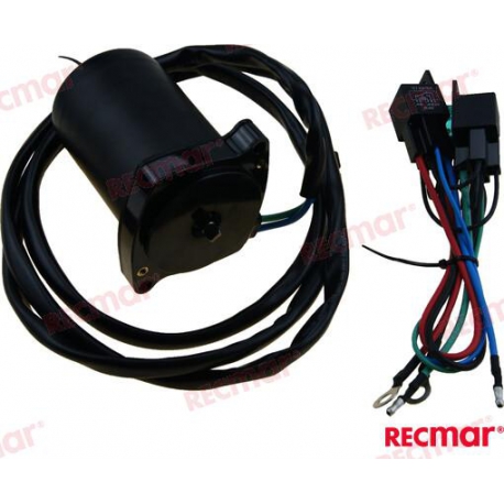 CONJUNTO DE MOTOR TRIM