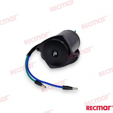CONJUNTO DE MOTOR TRIM