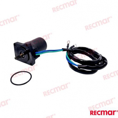 MOTOR TRIM