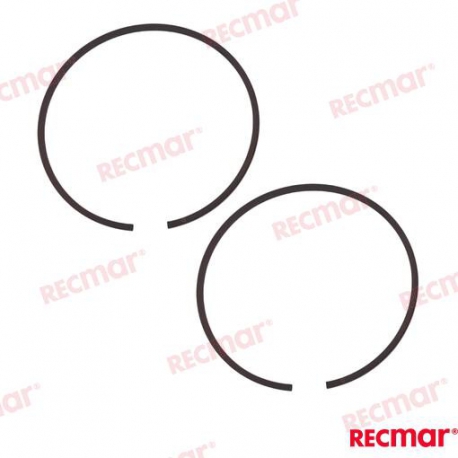 SEGMENTOS