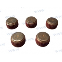 TAMPA/CONECTOR (5)