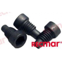KIT DE 3 PINOS