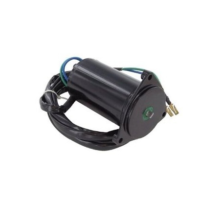 MOTOR TRIM