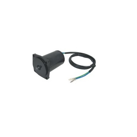 MOTOR TRIM