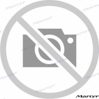 ANODO PLACA RENAULT 80X54MM ZINCO