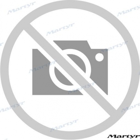 ANODO PLACA RENAULT 80X54MM ZINCO