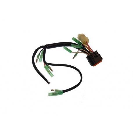 FIOS CDI