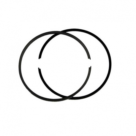 SEGMENTOS